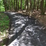 memphremagog-rea-estate-georgeville-03