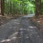 memphremagog-rea-estate-georgeville-04